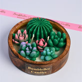 Succulent Pot