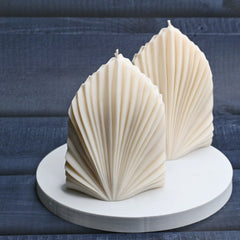Large Palm Leaf
