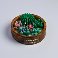 Succulent Pot