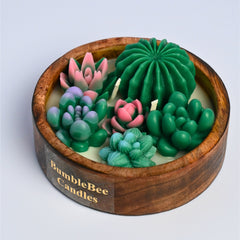 Succulent Pot