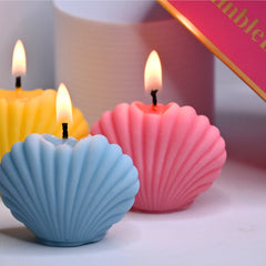 Clam Shell Gift Box of 6
